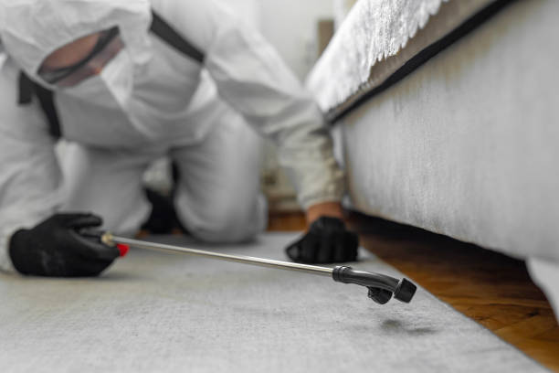 Professional Bed Bug Control technician working in Robertson County County, TN